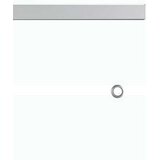  Drsna vrata ESG steklo in aluminij 90x205 cm srebrna, (20767327) | Shoptok.si