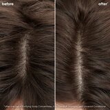 Biolage ScalpSync blagi regenerator 200 ml | shoptok.hr