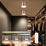  Immax NEO 07320L - LED prigušiva plafonska svetiljka RONDATE 32W/230V 16,5 cm Wi-Fi Tuya ružičasta | Eponuda.com