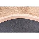 Kayoom PREPROGA Z VISOKIM FLOROM Rabbit Light 525 Elfenbein taftano krem barve | Shoptok.si