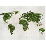  Tapeta - The butterfly garden 350x270 | shoptok.hr