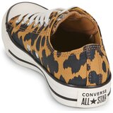Converse Niske tenisice 'CTAS' boja pijeska / med / crna | shoptok.hr
