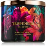 Bath & Body Works Tropidelic mirisna svijeća 411 g Cijene