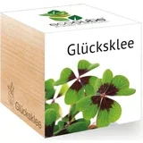 Ekokocka "Srečna deteljica"