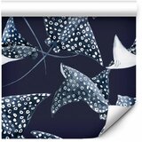  Tapeta - Underwater Dance 50x1000 Standard | shoptok.hr