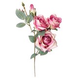  Rezano cvijeće grana ruže 64 cm 63190720 Cijene