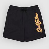 Quiksilver Everyday Malibu Volley 14 Kids Boardshorts black Cene