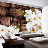  Tapeta - Blooming orchids 100x70 Cijene
