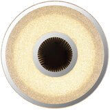 Globo STROPNA LED-SVETILKA ASTANIA /900 lm/3000 K/230 V/ | Shoptok.si