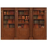  Samoljepljiva foto tapeta - Elegant Library 441x315 | shoptok.hr