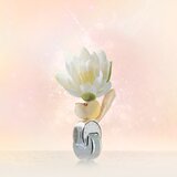 Bvlgari Omnia Crystalline toaletna voda za žene 25 ml | shoptok.hr