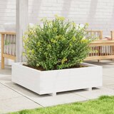  Vrtna sadilica bijela 80 x 80 x 26,5 cm od masivne borovine | Eponuda.ba