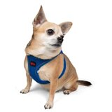 Paws & Whiskers Am za pse Air Mesh Sax Blue XS | Eponuda.com