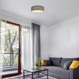 Rabalux - LED plafonsko svetlo LED/22W/230V siva | Eponuda.com