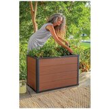Keter Visoka greda Maple – | Shoptok.si