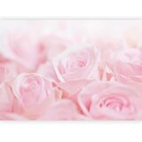 Artgeist Fototapeta Ocean Of Roses, 300x210cm | Shoptok.si