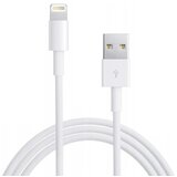R2invest uSB Apple iPhone Lightning 8-polni USB polnilni in podatkovni kabel za telefone 2m 5908222206963 | Shoptok.si