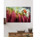 Wallity Slika 709, 70x110 cm | Eponuda.ba