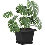  Saksije za biljke 6 pcs Crna 28,5 x 28,5 x 22 cm Plastika | shoptok.hr