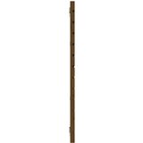  Stensko posteljno vzglavje medeno rjavo 156x3x91,5 cm borovina, (20736052) | Shoptok.si