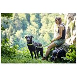 Povodac nastavljiv povodec za pse Hilo 20 mm/200 cm turkizna | Shoptok.si