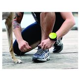 Lishinu Črn povodec velikosti L 3 – | Shoptok.si