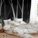 Foto tapeta - Noise of the forest at night - minimalist landscape of white trees on a black background 343x256 | shoptok.hr