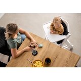 Hauck hranilica Beta+ Dark Grey sa dodacima | shoptok.hr