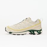 Salomon Advanced XT 6 EXPANSE Bež Cijene