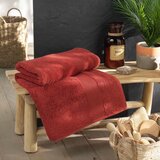 Douceur d intérieur Ciglasti pamučni ručnik od frotira 90x150 cm Tendresse – | shoptok.hr