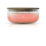 Mellow dišeča sveča lori 240g Cene