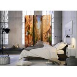Artgeist PARAVAN 135/172/3 cm barve korale Slike
