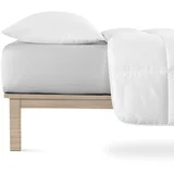 Svetlo siva napenjalna rjuha iz jerseyja 200x200 cm Boxspring –