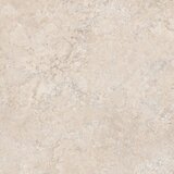 Pantheon Evolution Ebur 100x100