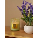 Sinsay Mirisna svijeća Tropical Garden | shoptok.hr