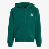 Adidas J clgt fz hd Cene