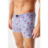 Lonka Pamučne bokserice Kevin Flaminga II | shoptok.hr