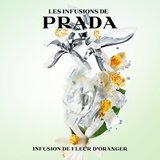 Prada INFUSION DE FLEUR D'ORANGER edp sprej 100 ml | shoptok.hr