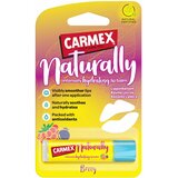 Carmex naturally berry stick Cene