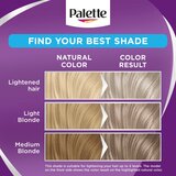 Schwarzkopf Palette Intensive Color Creme permanentna barva za lase odtenek 12-21 Silver Ash Blonde 1 kos | Shoptok.si