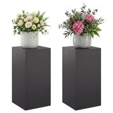  Stalak za biljke 2 pcs Crna 30 x 30 x 60 cm Čelik Slike