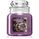 Country Candle Coconut & Blueberry Tart mirisna svijeća 453 g Cijene