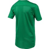Nike DRI-FIT PARK 7 JR Dječji nogometni dres, zelena, veličina | shoptok.hr