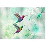  Samoljepljiva foto tapeta - Colourful Hummingbirds (Green) 196x140 | shoptok.hr