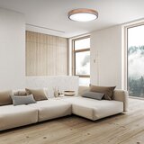 solight WO8006 - LED prigušiva svetiljka IRON OAK LED/60W/230V 3000-6500K prečnik 51 cm + daljinski upravljač | Eponuda.com