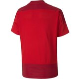 Puma TEAMGOAL 23 TRAINING JERSEY JR Nogometna majica za dječake, crvena, veličina | shoptok.hr
