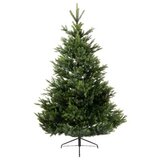  Novogodišnja jelka Arlberg fir 150cm-100cm Everlands 68.4380 | Eponuda.com