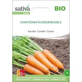 Sativa Ekološko korenje "Chantenay à coeur rouge 2" Cene