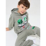 Sinsay Donji dio trenirke loose jogger Minecraft | shoptok.hr