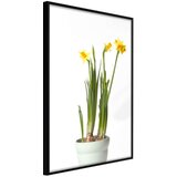  Poster - Piece of Nature IV 40x60 Cijene